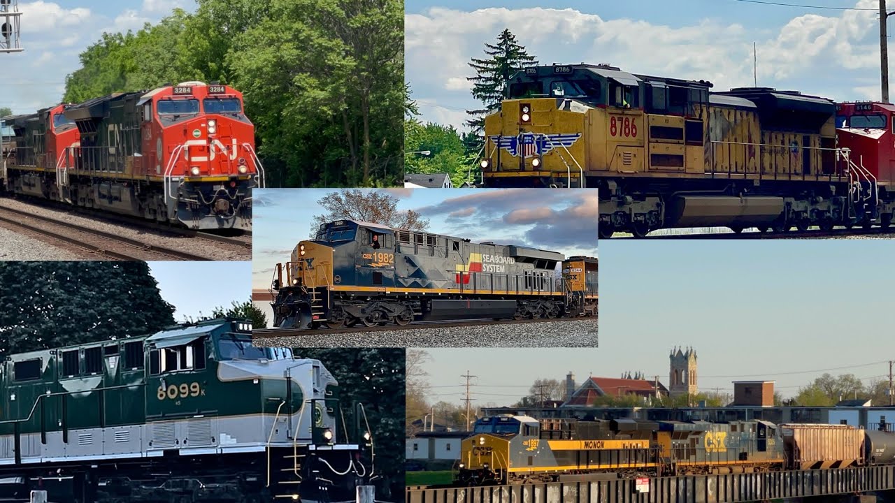 Best Trains & Catches of 2024: First Half