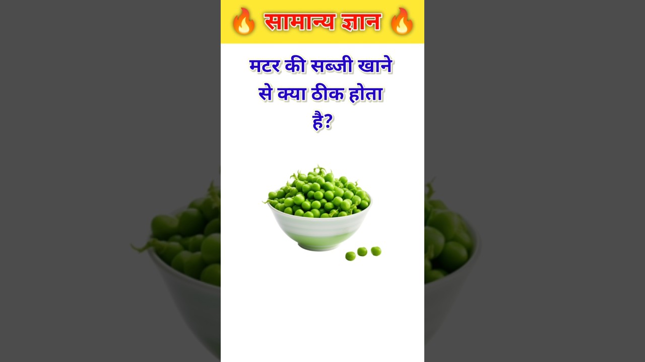 Top 10 GK  Questions🔥💯🤔 || GK Question and Answer 