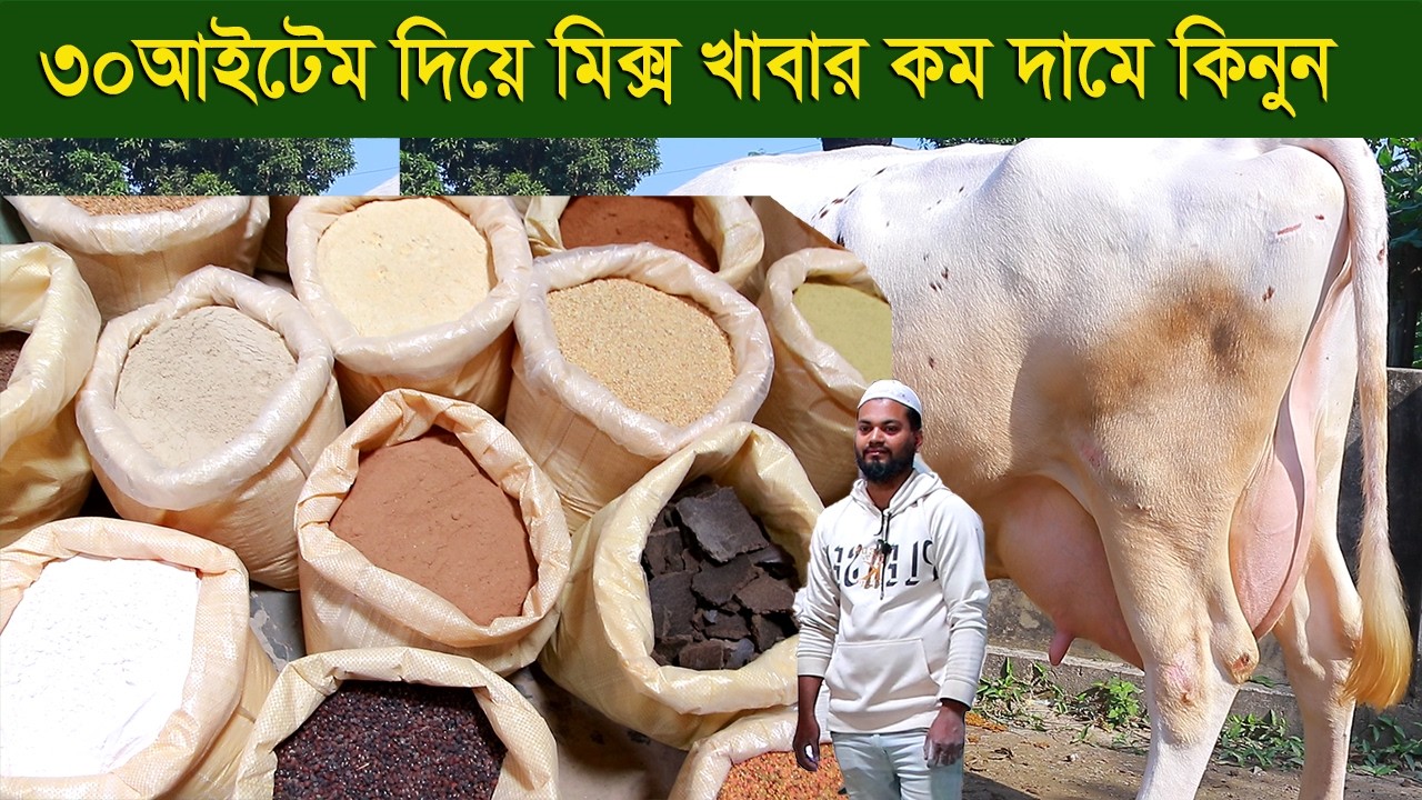 গাভীর দুধ বৃদ্ধি ও ষাড় গরুর জন্য ৩০আইটেমের মিক্স খাবার কম দামে কিনুন dairy farm