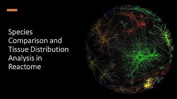 Species Comparison and Tissue Distribution Analysis in Reactome