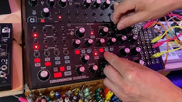 Baseck Moog Subharmonicon Bliss [Demo] (no talking)