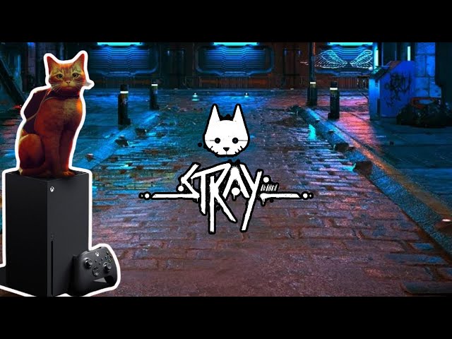 5 jogos com gatos para consoles e PC - Canaltech