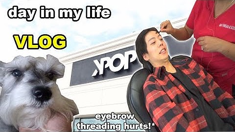 [VLOG] GETTING MY EYEBROWS THREADED.. FOR THE FIRST TIME! Day In The Life