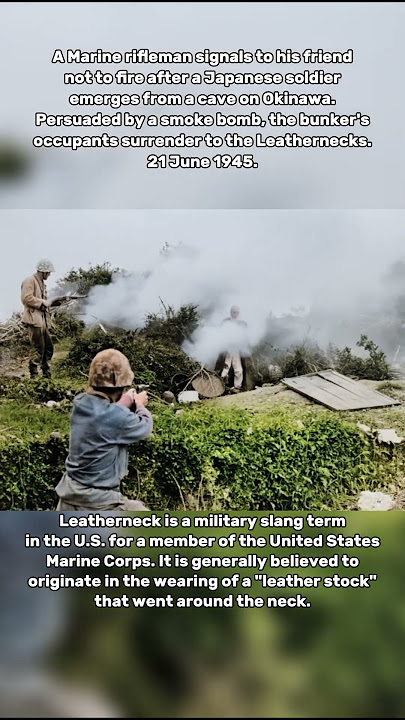 Colorized Footage: A Japanese Soldier Surrenders to U.S. Marines in Okinawa, 1945 #ww2 #ai