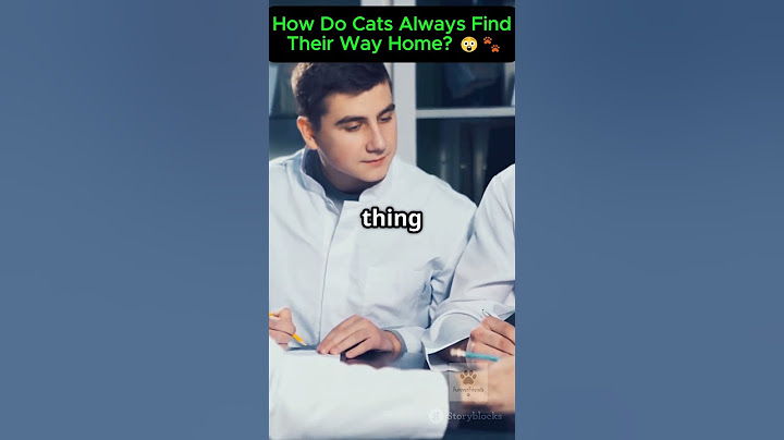 How Do Cats Always Find Their Way Home? 😲🐾