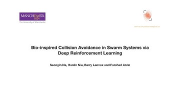 Bio-inspired Collision Avoidance in Swarm Systemsvia Deep Reinforcement Learning
