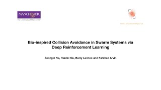 Celebrity Bio-inspired Collision Avoidance in Swarm Systemsvia Deep Reinforcement Learning Net Worth