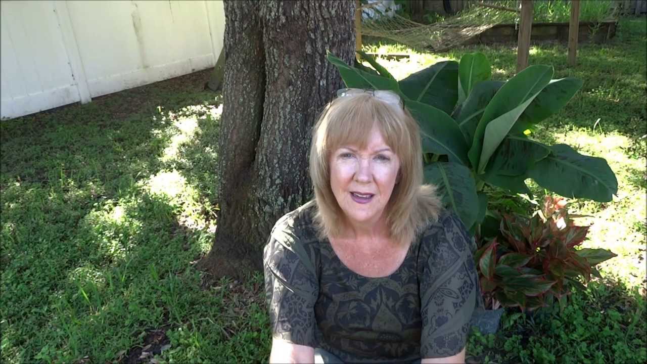 Barrier Cloth vs Cardboard for Weed Control YouTube