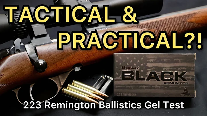 SO TACTICAL!! 223 Remington Hornady Black 75gr BTHP Ballistics Gel Ammo Test