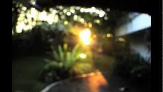Night Bus- Lucy Rose