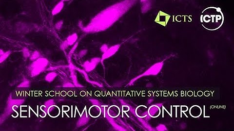 Olfactory Search and Navigation (Lecture 2) by Antonio Celani