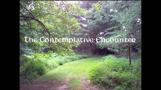 The Contemplative Encounter