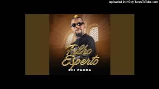 Rei Panda o Papoite- Filho Esperto