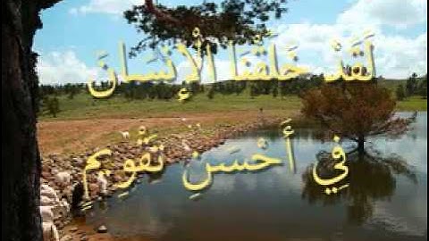 القرآن المعلم /شبكة المصطفى /  بصوت المنشاوي - سورة  التين