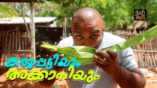 Palm Wine & Jaggery Making Video |  കരുപ്പട്ടിയും അക്കാനിയും | Food N Travel Malayalam