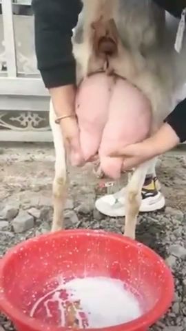 Is this Yummy?😱🤣 #shorts #funny #viral