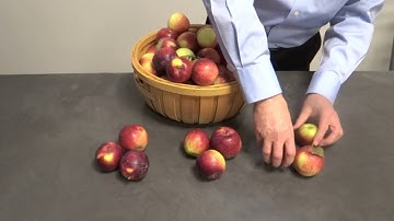 Sampling Distributions