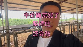 牛价确实涨价了，咱们坚持住，都别卖牛，还能多涨点