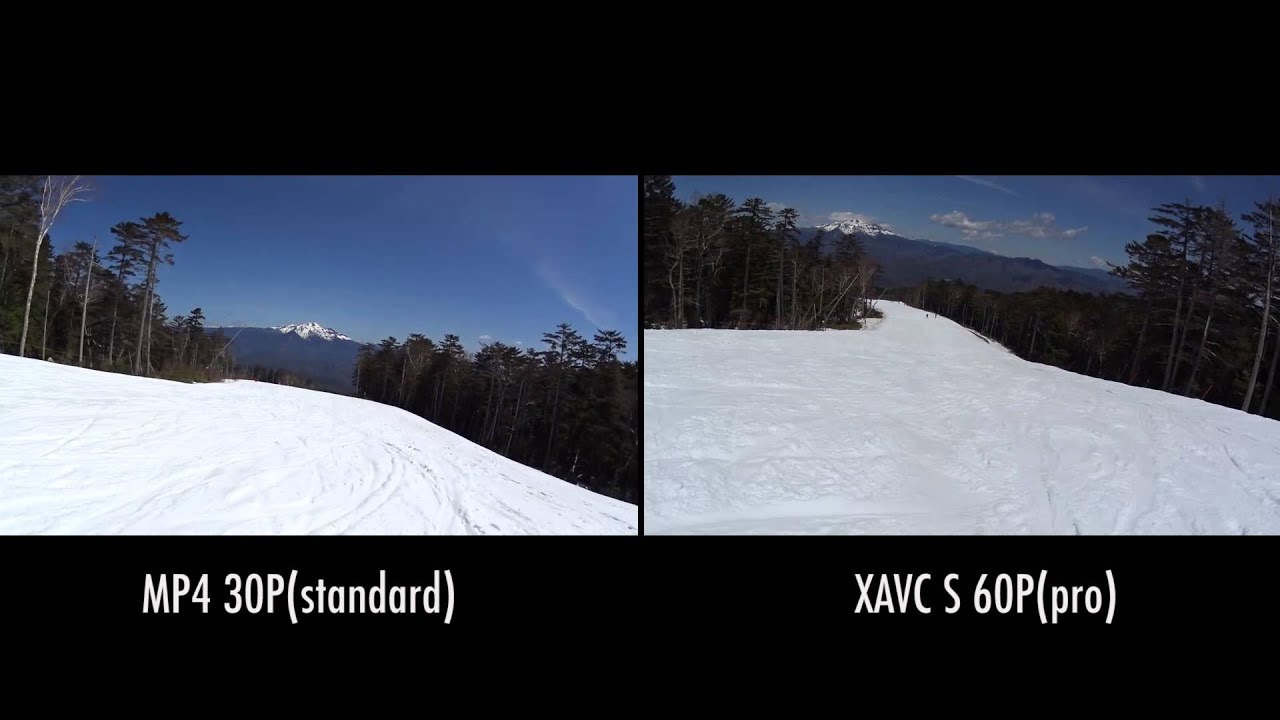 杉本博司 HDR-AS100V　MP4 vs XAVC S　カメラテスト