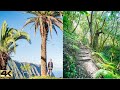 Subtropical Hiking | Hermigua to El Cedro |  La Gomera, Canary Islands 4K