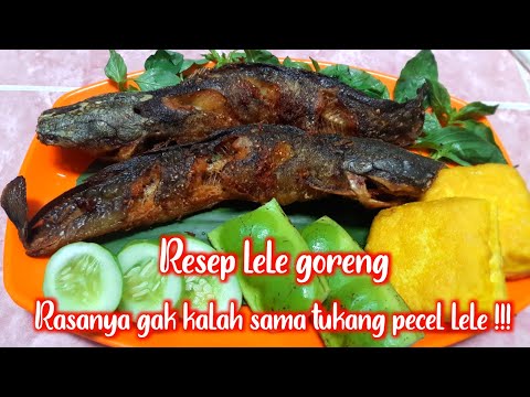 Cara menggoreng lele biar tetap lurus.. 