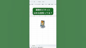 【Excel】画像をピタッとはめ込み＆反転！ #shorts #excel #excel初心者 #仕事効率化 #事務効率化