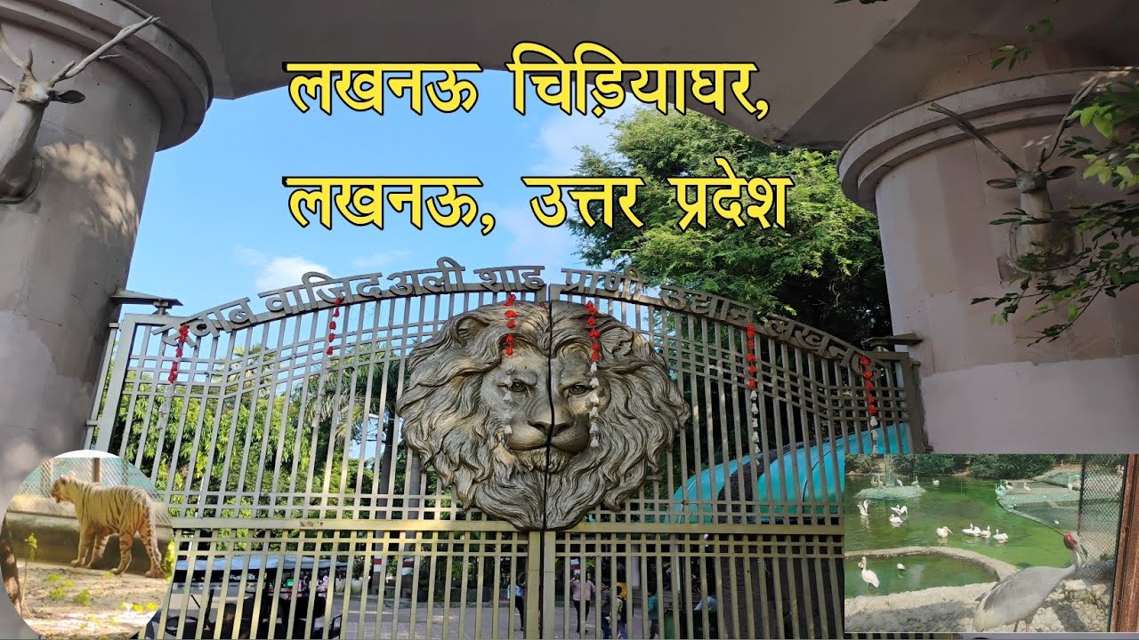 लखनऊ चिड़ियाघर | Lucknow Zoo | नवाब वाजिद अली शाह प्राणी उद्यान, लखनऊ | Ashutosh Singh 