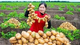 Harvesting GOLD UNDERGROUND   100 Days Building Life