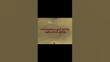 Thumbnail of Müslüm baba'dan bir şarkı 🥲🎶#keşfet #lyrics #müslümgürses