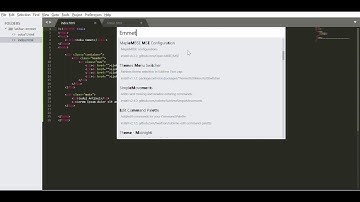 Pengenalan Sublime Text Editor 3 untuk Informatika - Penggunaan Emmet