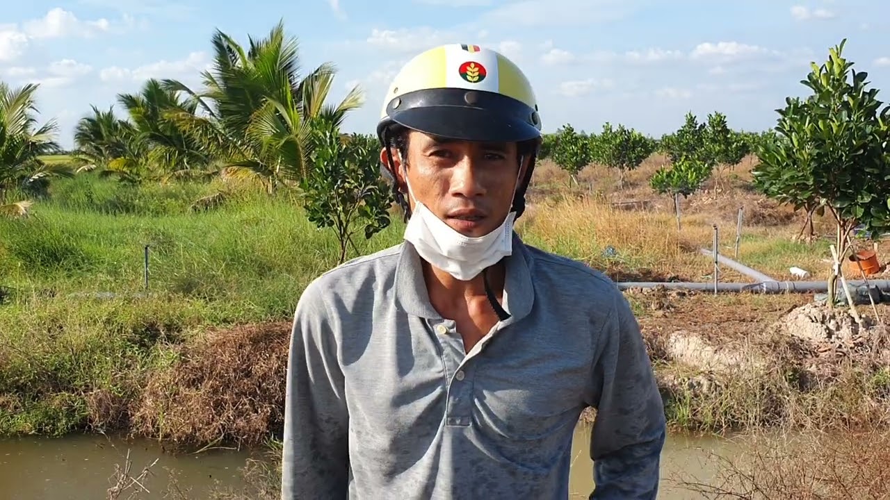 Hệ Thống Tưới Vườn Mít 10 Công Bằng Máy Dầu,kết Hợp Châm Phân Tự Động.LH:0949777827 gặp Vĩnh