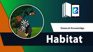 Habitat ( Animated Video ) | eLearn K12