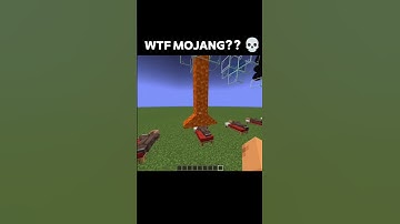 MINECRAFT LOGIC?? 😭