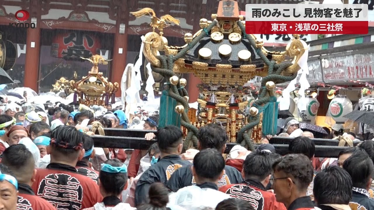 三社祭　お神輿 浅草神社奉賛会／三社祭 公式情報