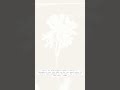 🌼 https://ohdaughter.com 🌼