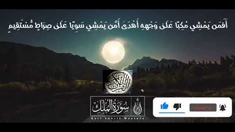 السوره المنجيه من عذاب القبر | مما تيسر من سورة الملك القاری شریف مصطفی