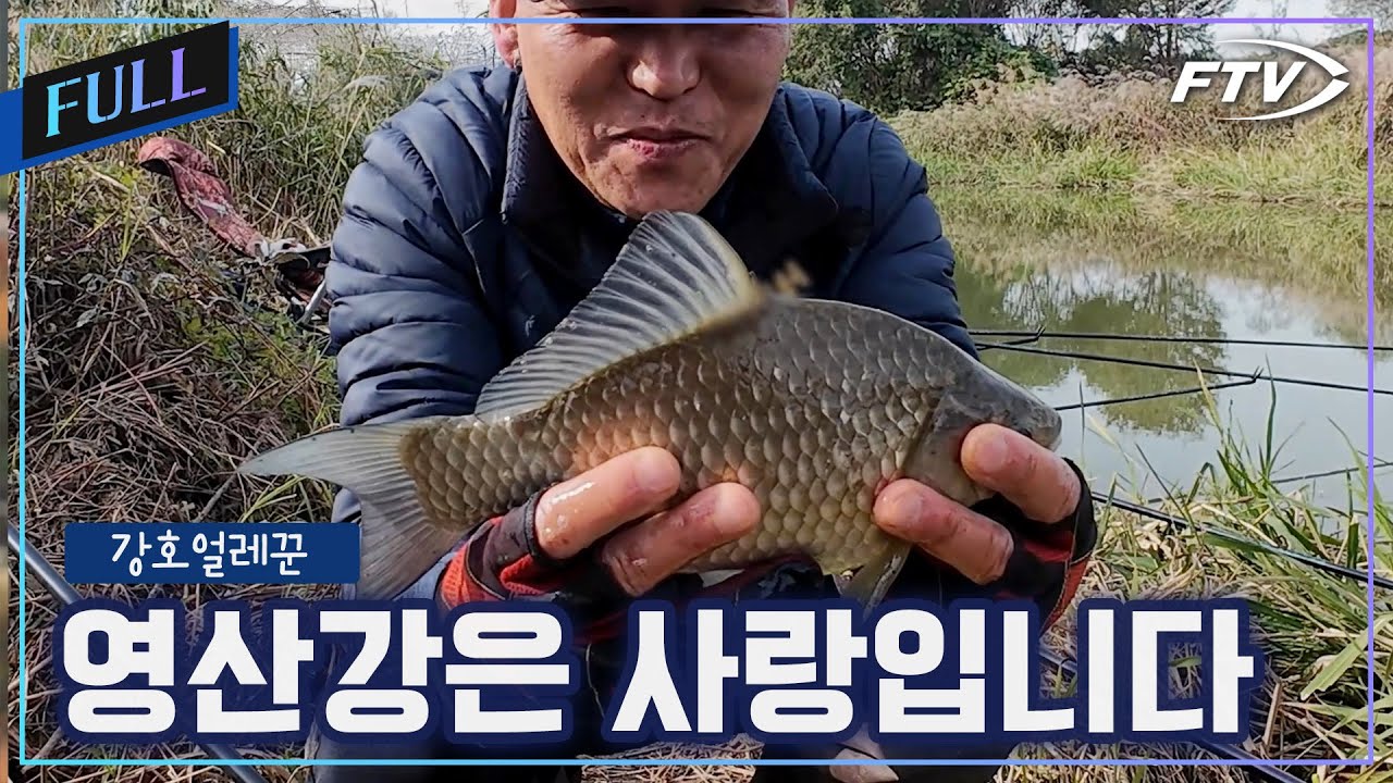 [Full]전남권 붕어낚시의 성지, 영산강 붕어낚시[강호얼레꾼/40회]