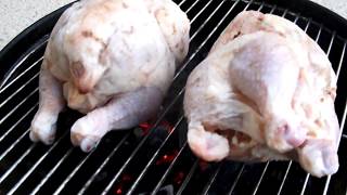 コーニッシュ・ゲームヘン　バーベキューで！！ screenshot 5