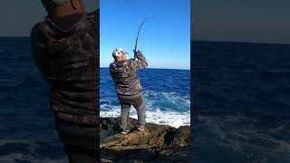 Fishing A Nice Bonito With Shore Jigging Style