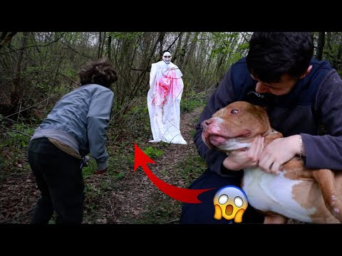 Video: Adam En Kötü Korkuya Eve Geliyor - Her İki Köpek Hırsız Tarafından Alındı!