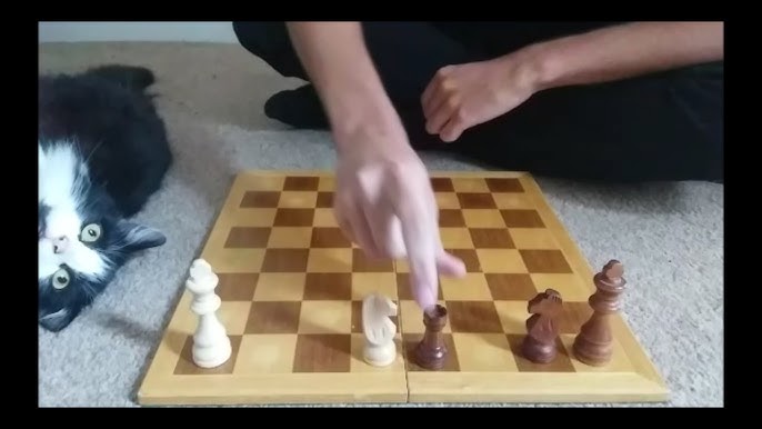 The Longest Chess Opening 