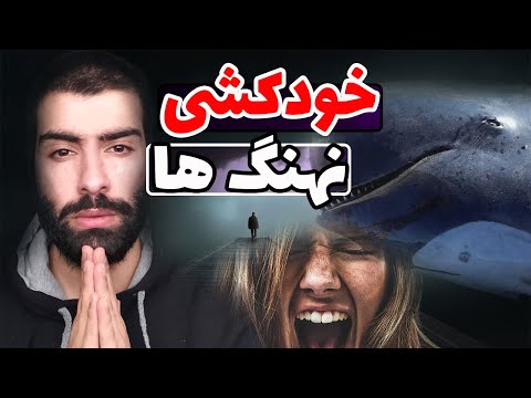 خودکشی نهنگ ها|چرا نهنگ ها خودکشی میکنند|تئوری خودکشی نهنگ و وال ها|داستان ترسناک