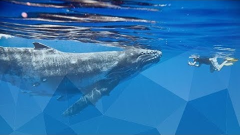 Introduction to Agile Leadership