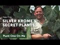 Silver Krome Private Plant Collection (Aroids Galore!!)— Ep 167