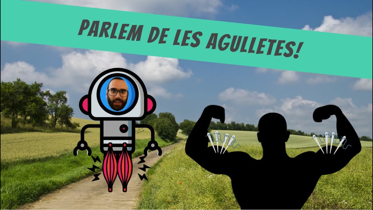 Parlem de les agulletes
