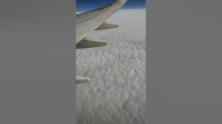 Plane Crash(Warning Graphic Content Viewer Discretion Is Strongly Advised) (Sad)