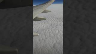 Plane Crash(Warning Graphic Content Viewer Discretion Is Strongly Advised) (Sad)