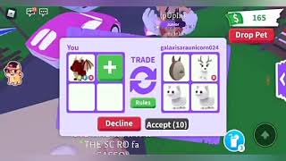 WHAT PEOPLE TRADE FOR A NEON DRAGON|•Roblox Adopt Me•| Stella Roblox screenshot 4