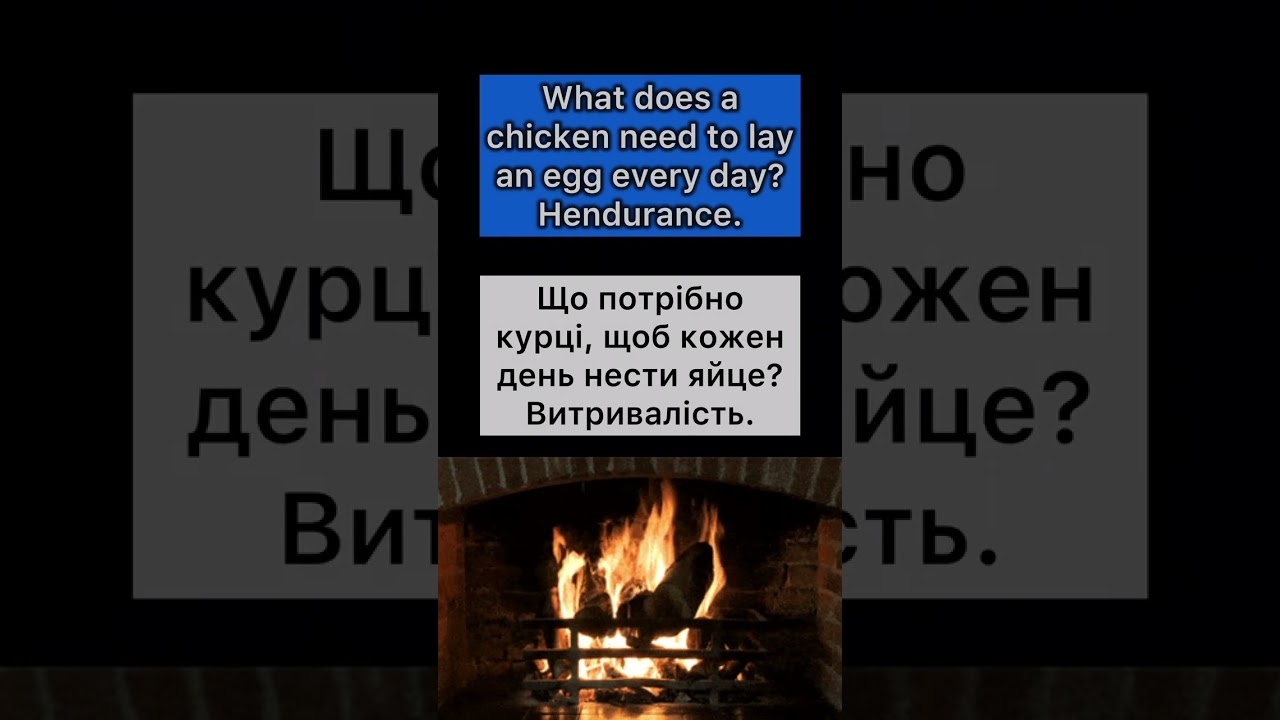 Hendurance Of Chicken😂😂🤣 