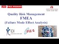 Quality Risk Management (FMEA)